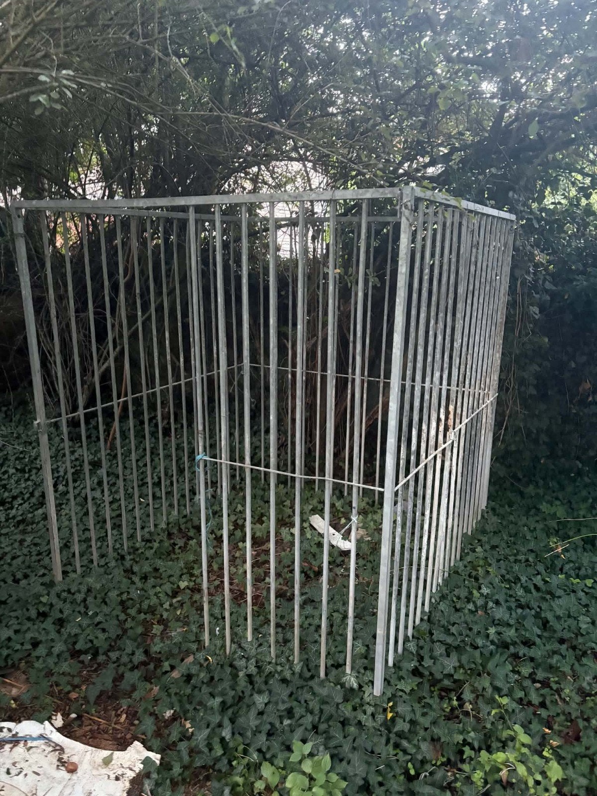 chenil, Enlèvement