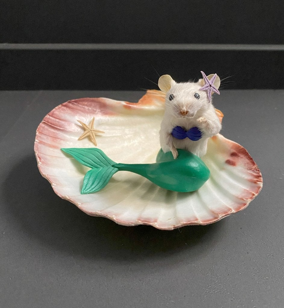 Ariël kleine zeemeermin taxidermie muis, Ophalen of Verzenden