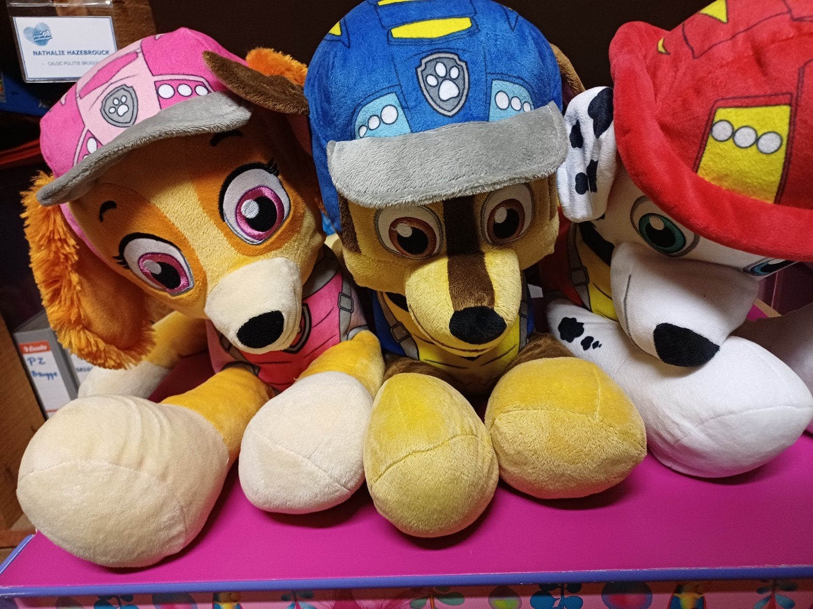 Grote Paw patrol knuffels geen verzending, Paw Patrol, Enlèvement