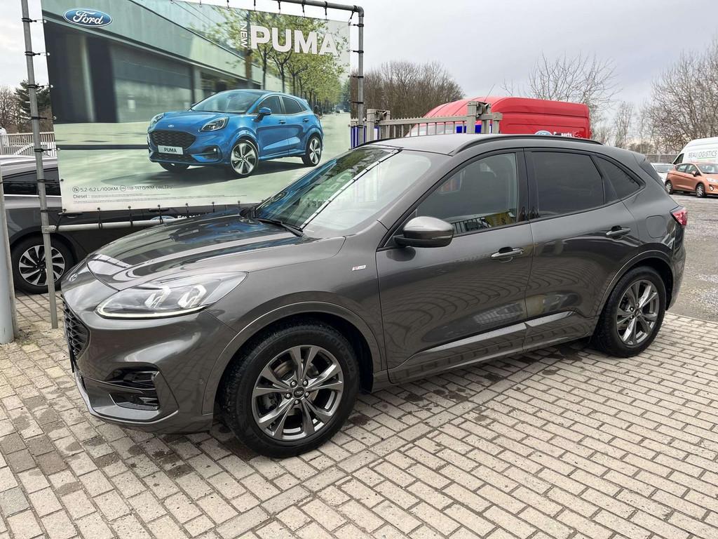 Ford Kuga EcoBlue ST-Line X (année de construction 2021), Autos, Ford, Achat, Kuga, Caméra 360°, ABS, Caméra de recul, Régulateur de distance