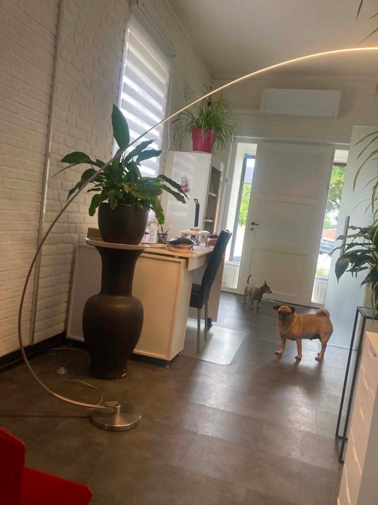 Grote LED booglamp Zijlstra zgan, Ophalen, Zo goed als nieuw