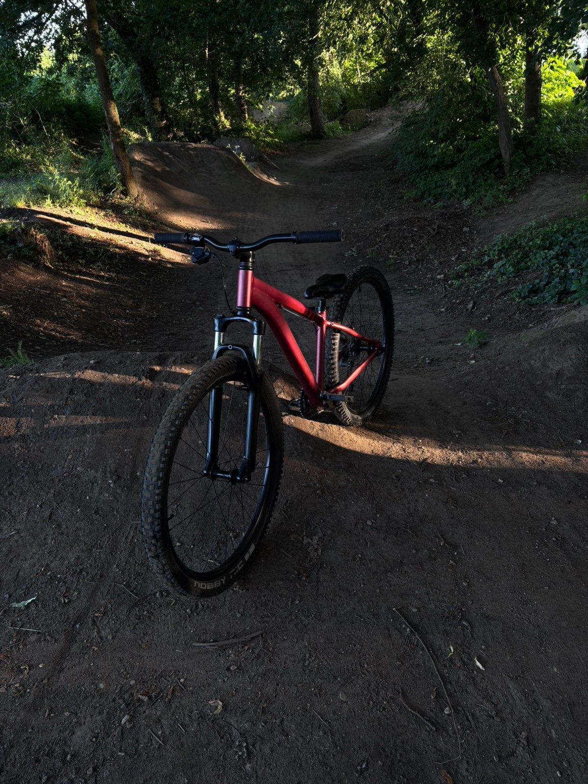 Moutainbike niet voor beginners!!, Autres marques, Enlèvement, Utilisé, Hommes