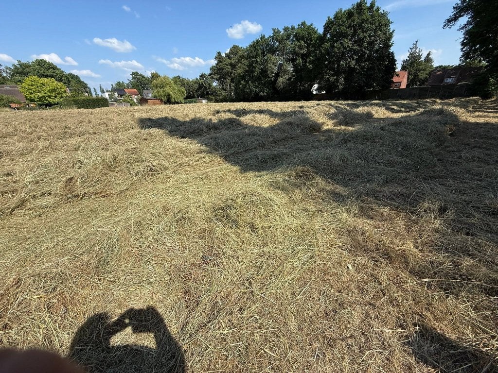 Kleine pakken hooi te koop, Enlèvement, Autres espèces