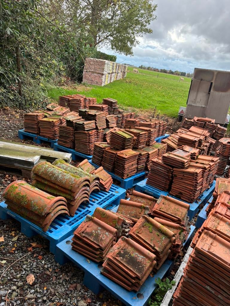 Platte stormpannen, Ophalen, Zo goed als nieuw, Rood, Dakpannen