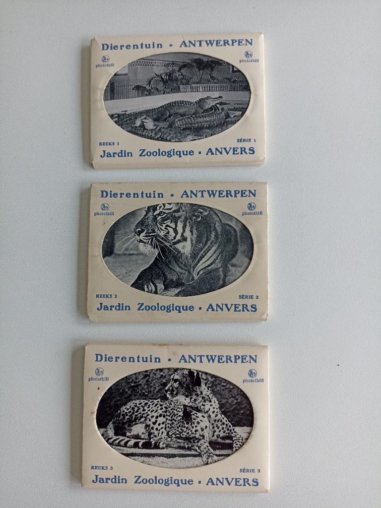 SNAPSHOTS ZOO ANTWERPEN, Collections, Photo, Comme neuf, 1940 à 1960, Animal