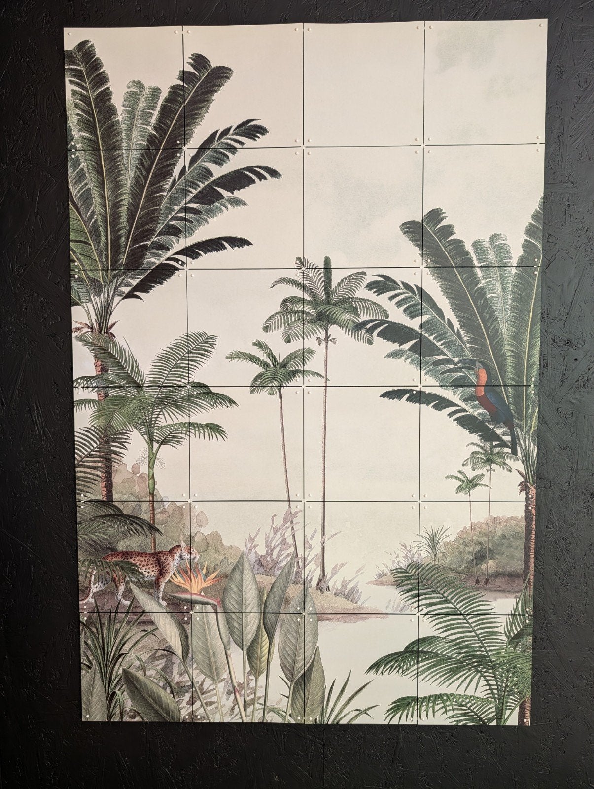 Ixxi rainforest 80 op 120cm, Ophalen
