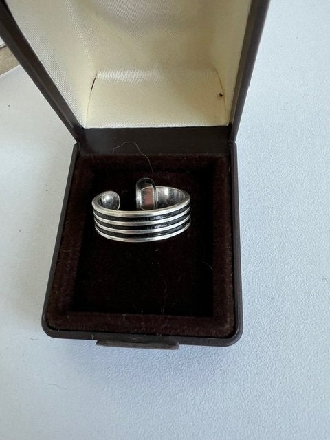 6 zilveren ringen 20 euro, Handtassen en Accessoires, 18 tot 19, Nieuw, Ophalen of Verzenden, Dame of Heer