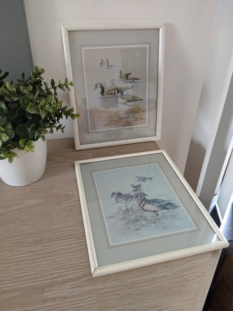 2 vintage kaders met prent eend achter glas, Huis en Inrichting, Vintage, Ophalen of Verzenden, Zo goed als nieuw, Achter glas