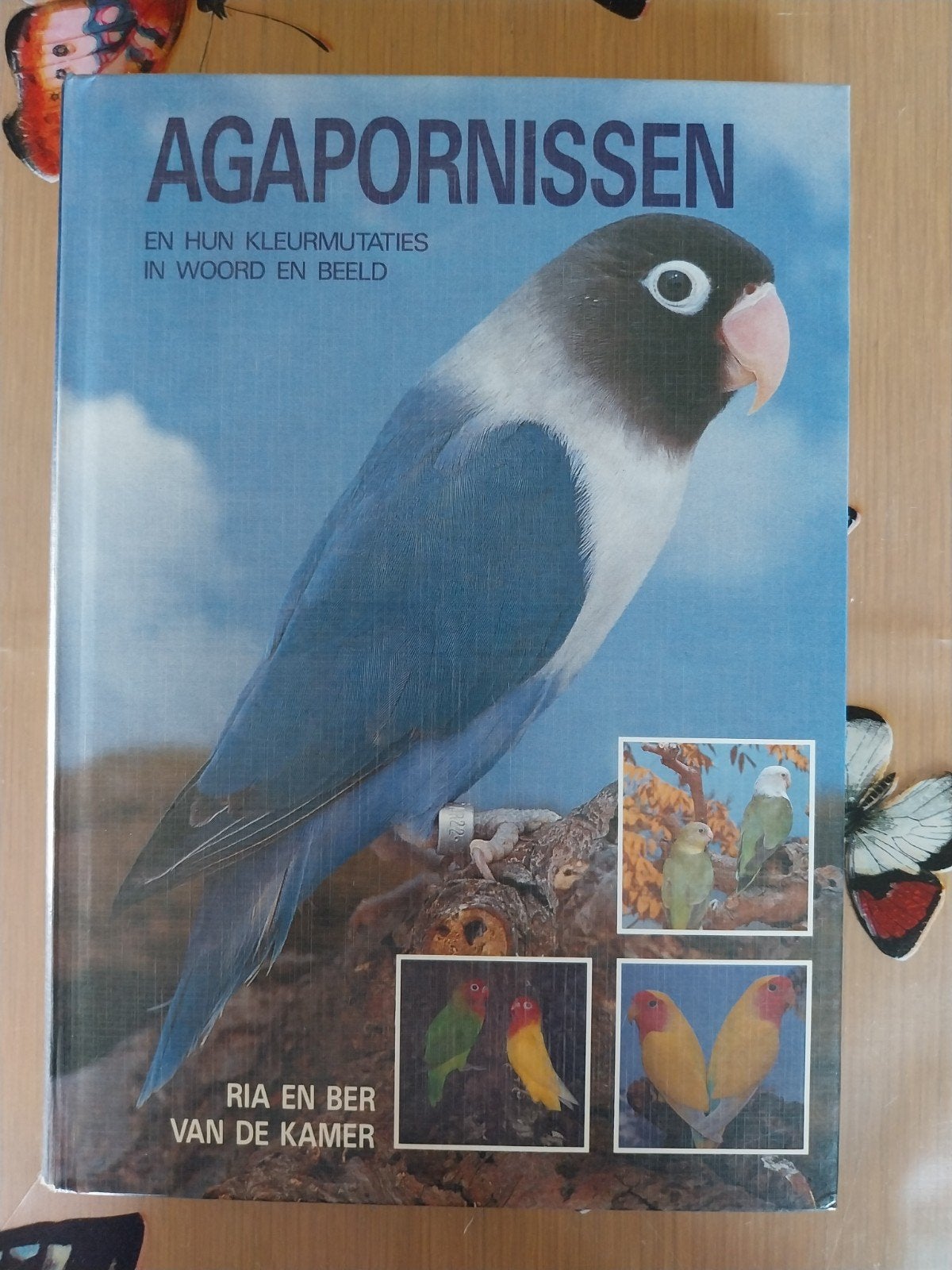 agaporniden, Ophalen
