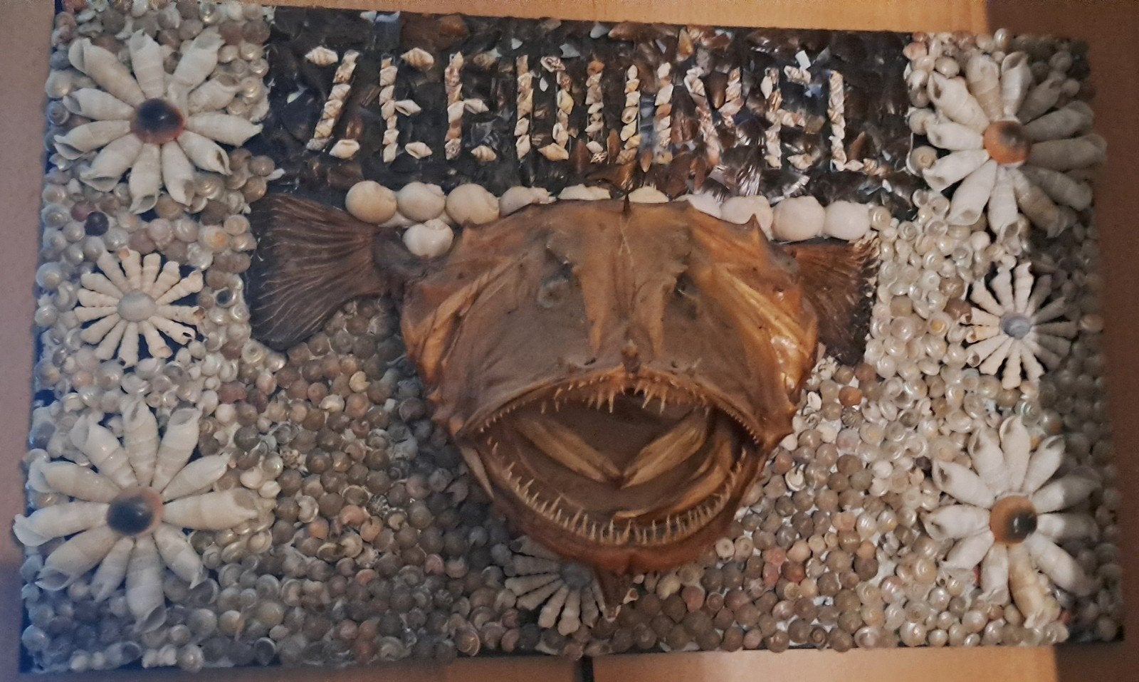 Kop zeeduivel, Ophalen