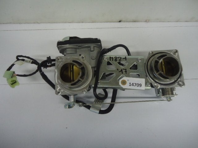 Monster 821 2014 - 2017 Ducati Injectorbody D1-16290