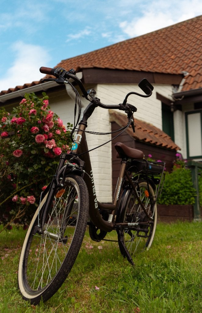 E-BIKE MINERVA RETRO chocoladekleurige elektrische fiets, Ophalen, Zo goed als nieuw, 50 km per accu of meer, Overige merken