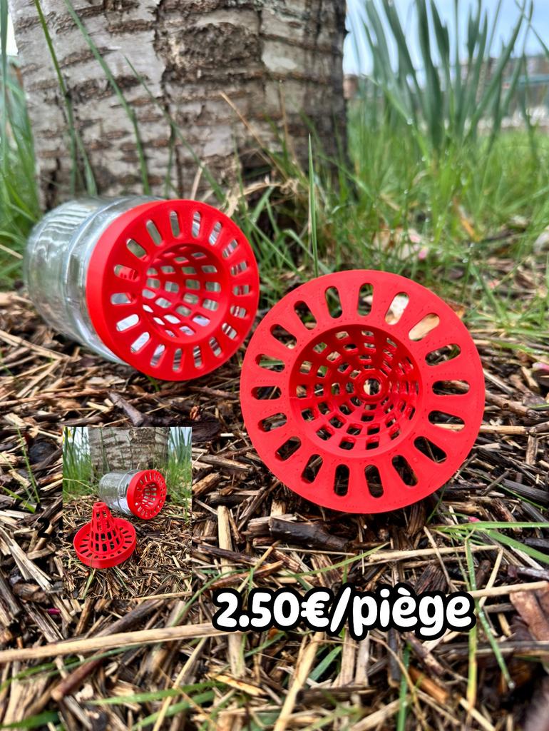 Piège à frelons asiatiques pour pot ø80mm, Enlèvement ou Envoi, Neuf