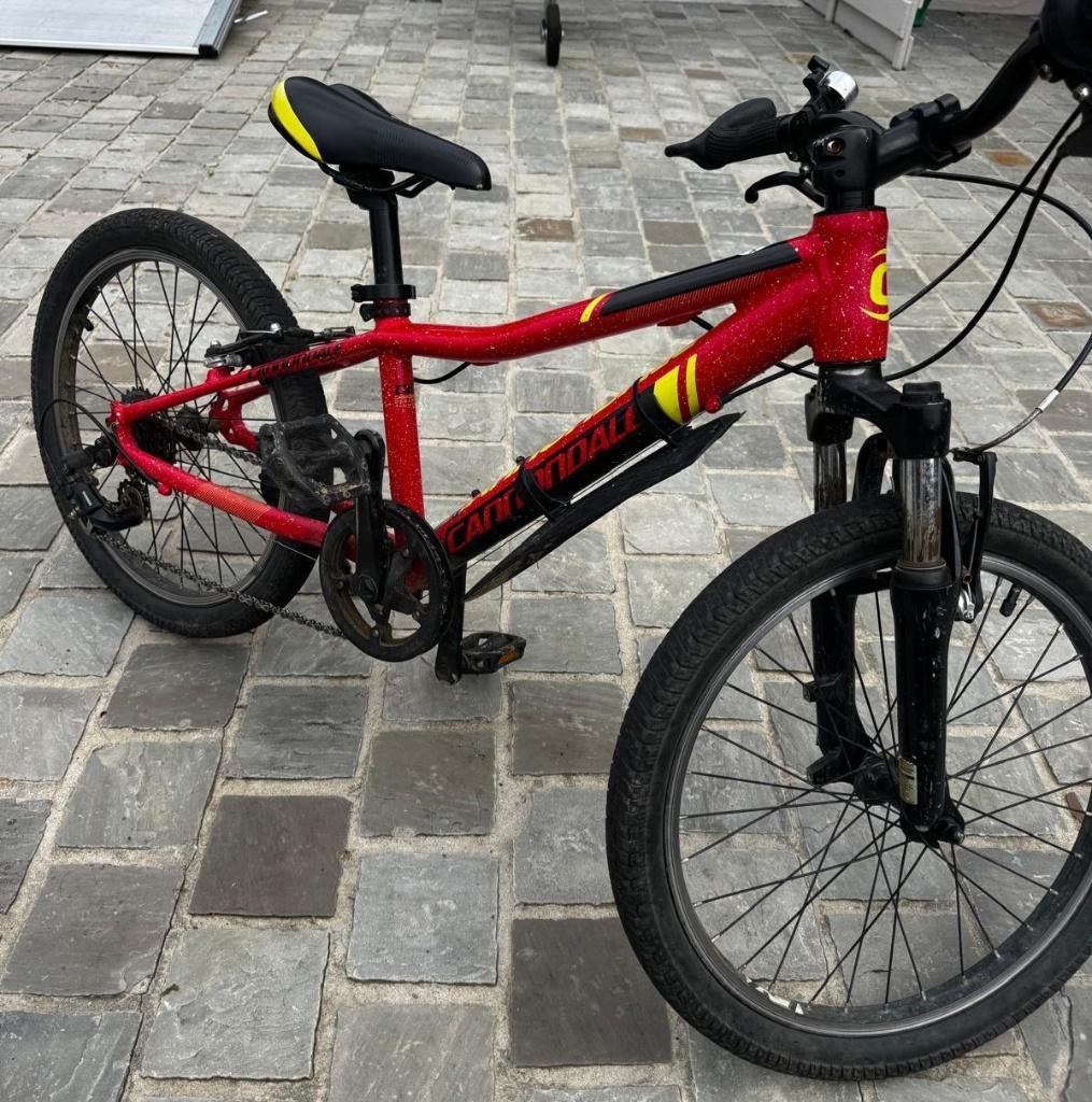 Vélo enfant Cannondale 5 à 8 ans - 0485728341, Enlèvement, CANNONDALE