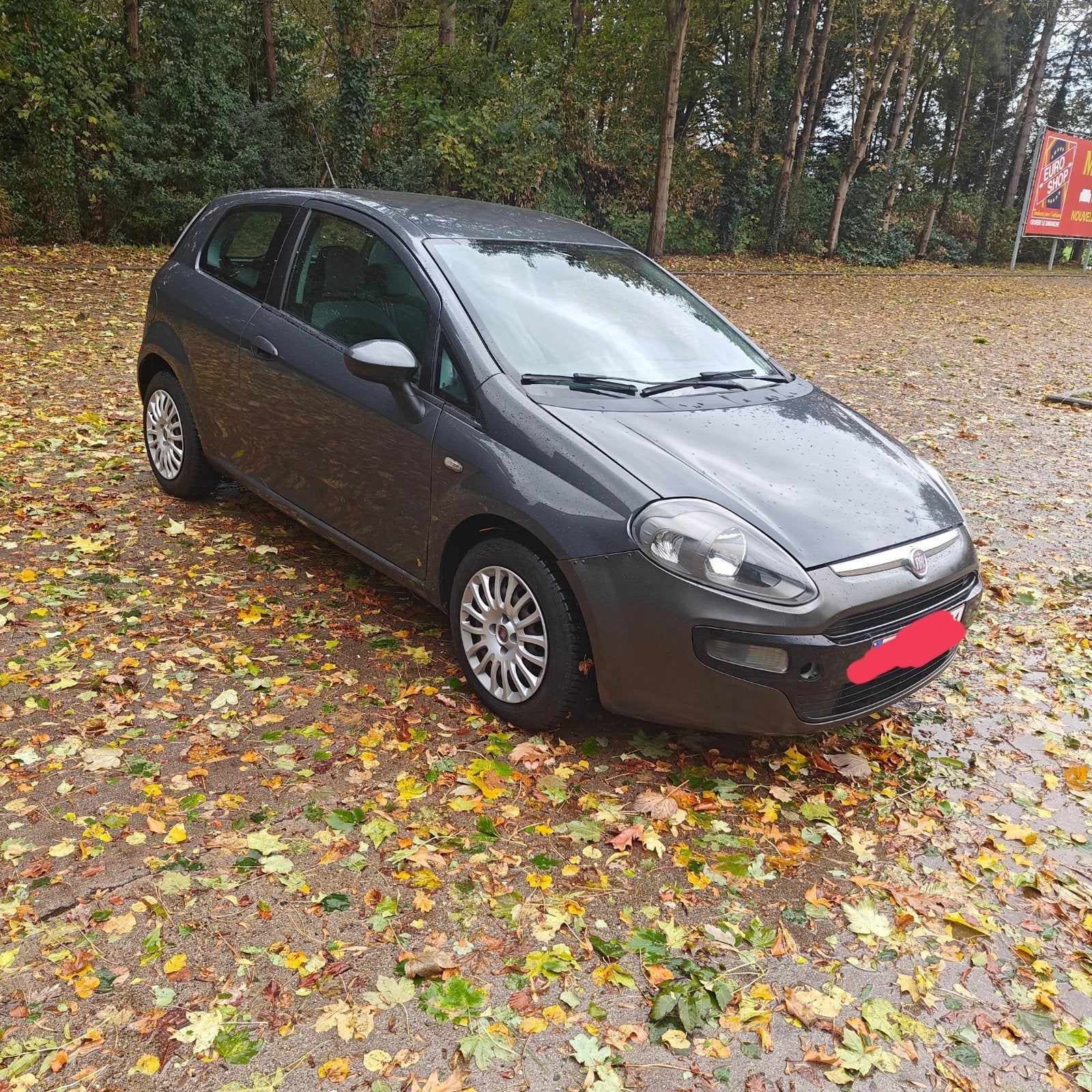 Fiat Punto prête a immatriculer, Achat, Particulier, Punto, Essence