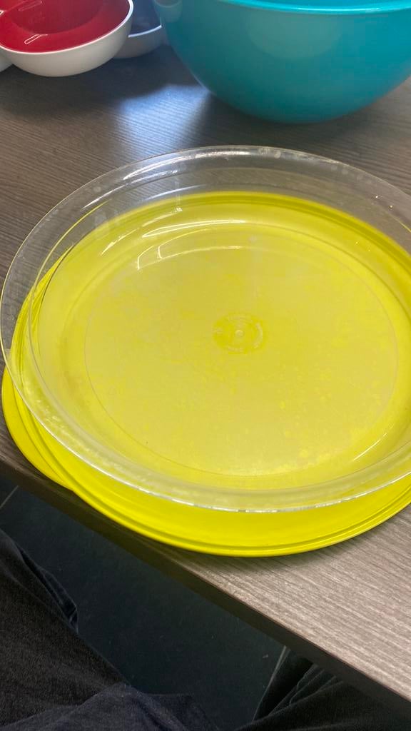 Tupperware 2783A-2 avec couvercle, Enlèvement, Comme neuf