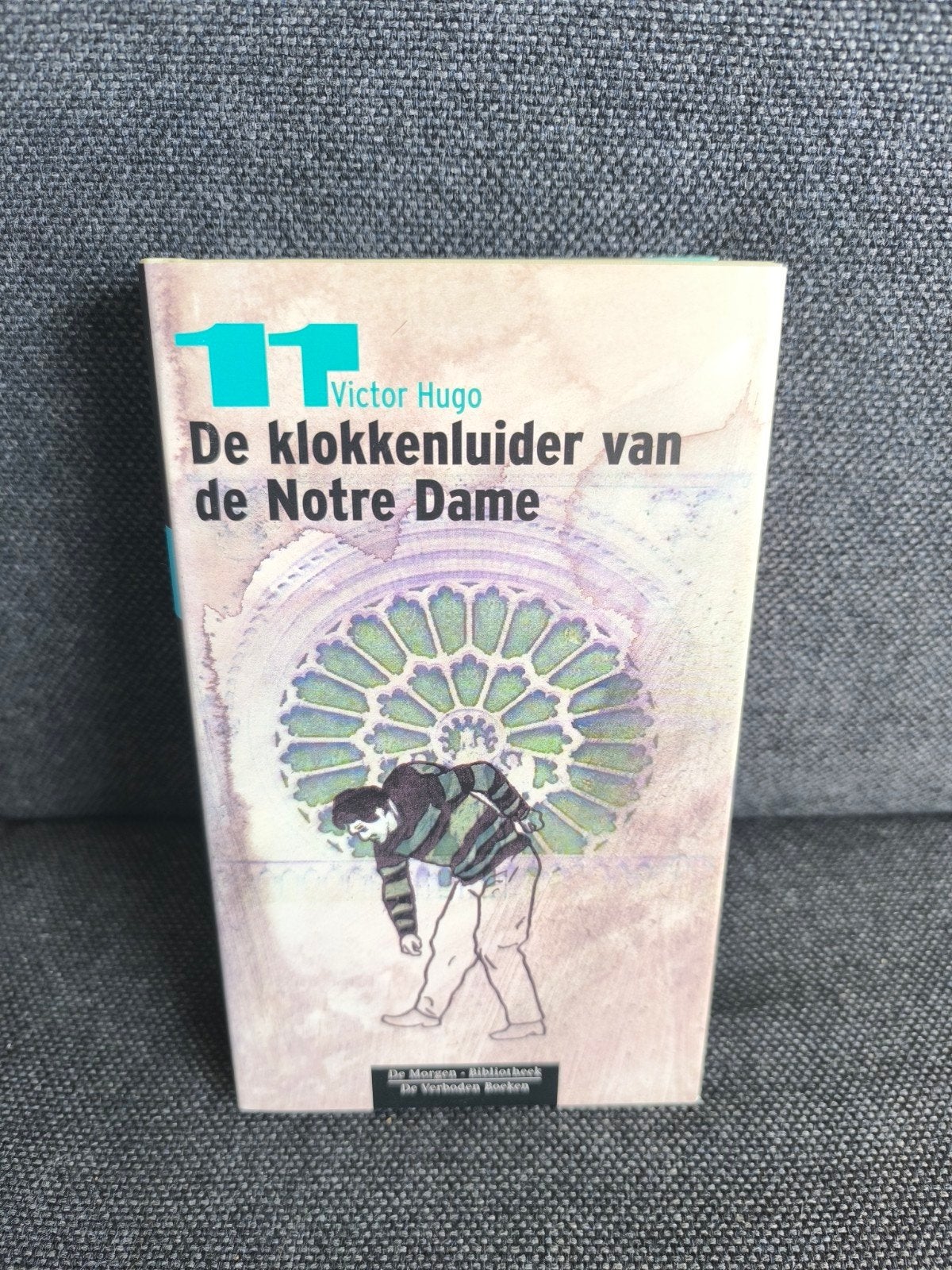 De klokkenluider van de Notre Dame (Victor Hugo), Boeken, Ophalen, Zo goed als nieuw, Victor Hugo, Europa overig