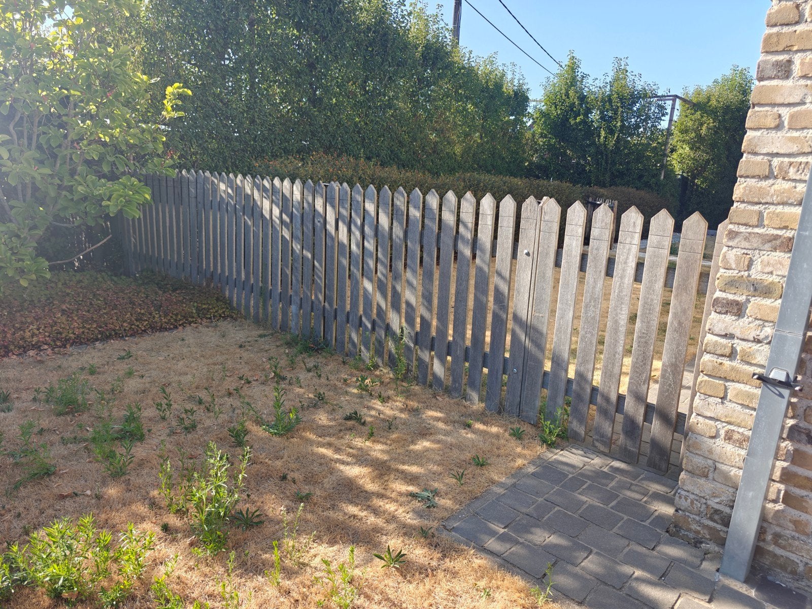 Tuinhek met poortje 6+1 meter, Tuin en Terras, Tuinhekken en Hekwerk, Ophalen, Met poort, Gebruikt, Tuinhek