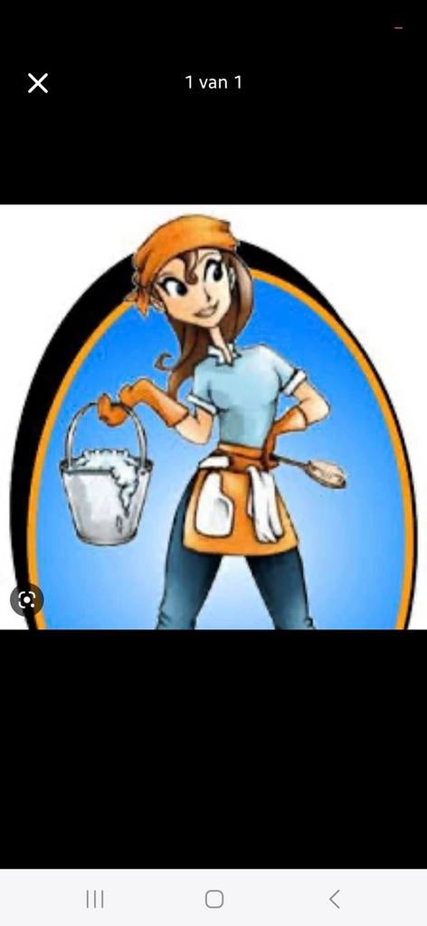 Ik zoek werk als poetsvrouw.  12 ,€per uur