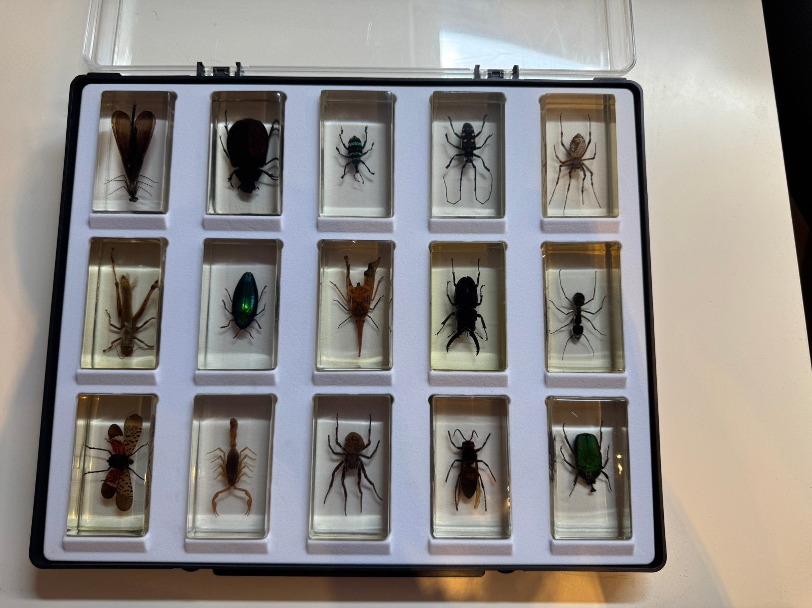 Insecten, Enlèvement, Utilisé