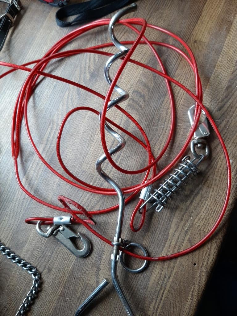 Hondeleiband met grondpen, Ophalen