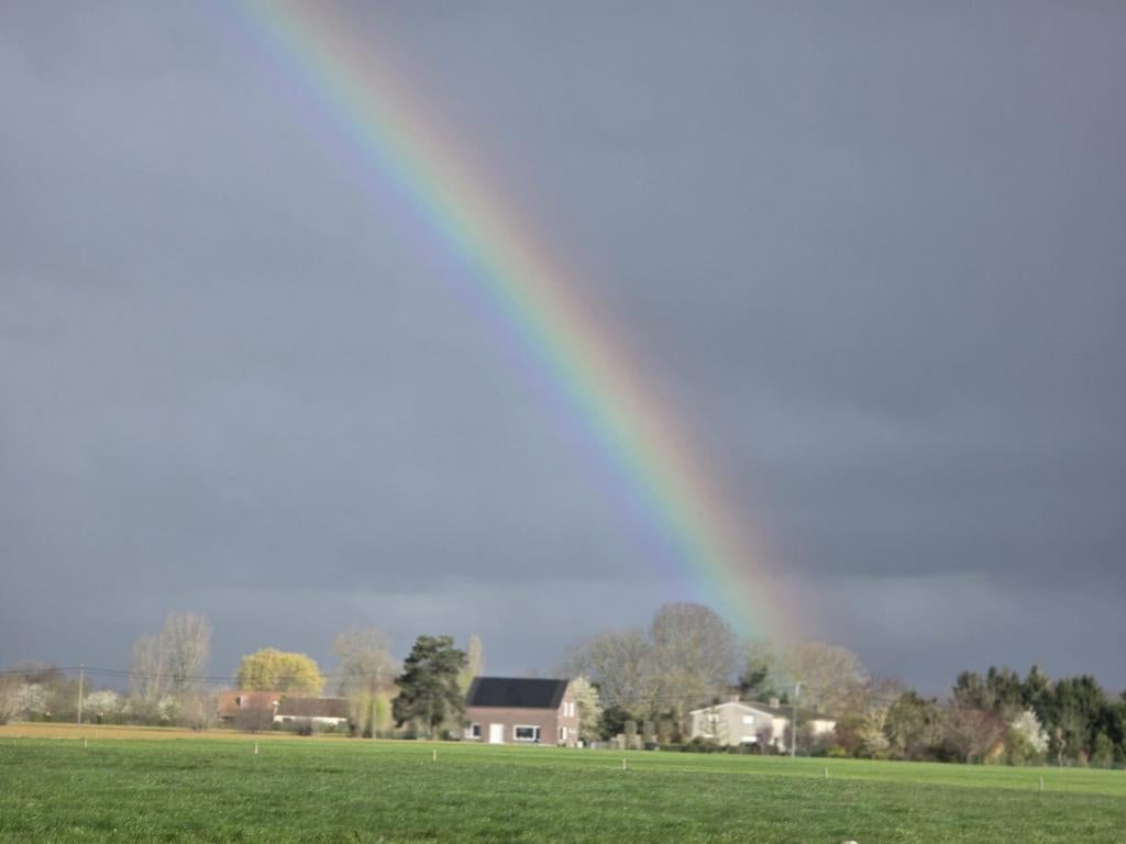 Weide gezocht regio dentergem