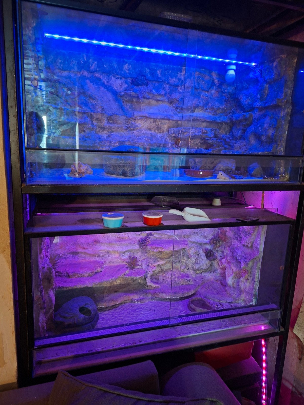 terrarium, Dieren en Toebehoren, Ophalen