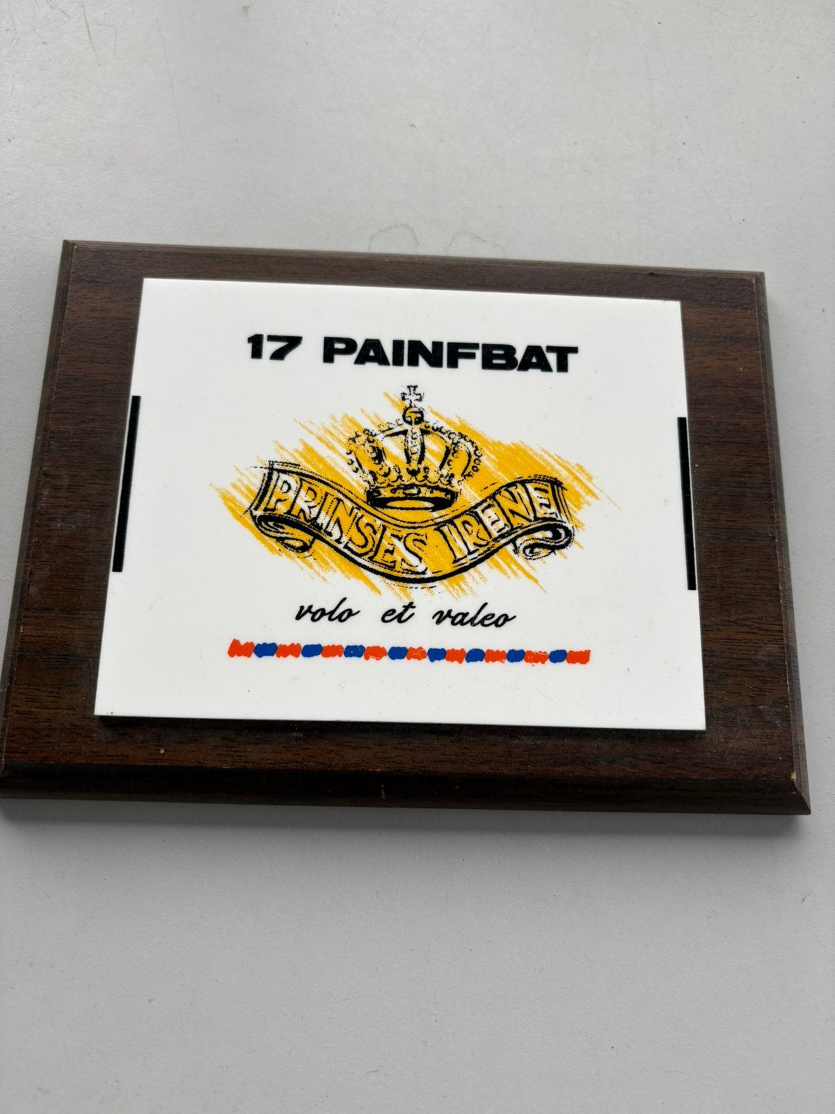 (L.2.2.A)17 Painfbat GFPI Irene plaquette Charlie Rocks 1997, Collections, Envoi, Armée de terre