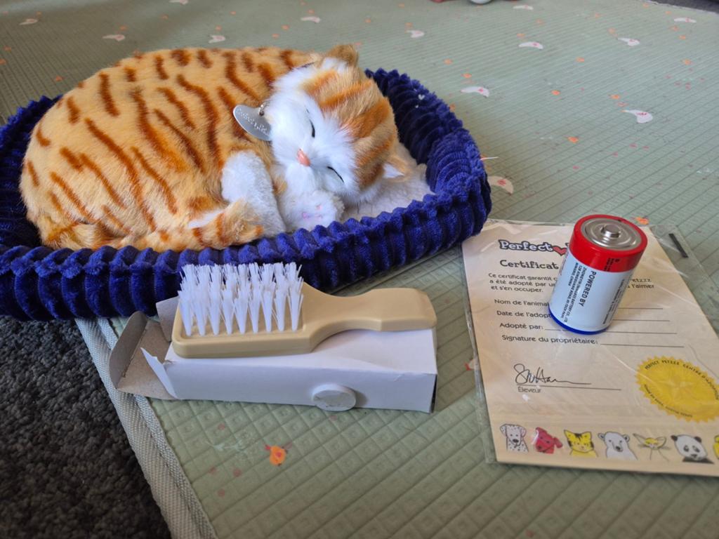 Levensechte knuffel poes, Enlèvement, Neuf, Chat, Avec boîte