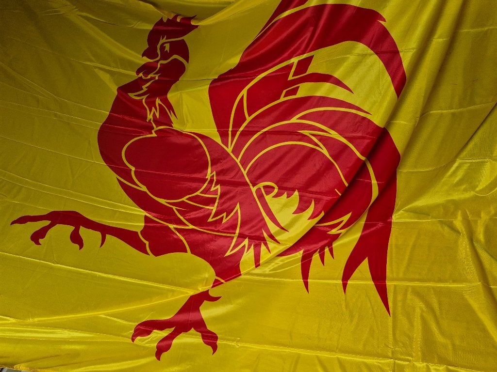 Très très grand drapeau Wallon, Enlèvement ou Envoi, Comme neuf