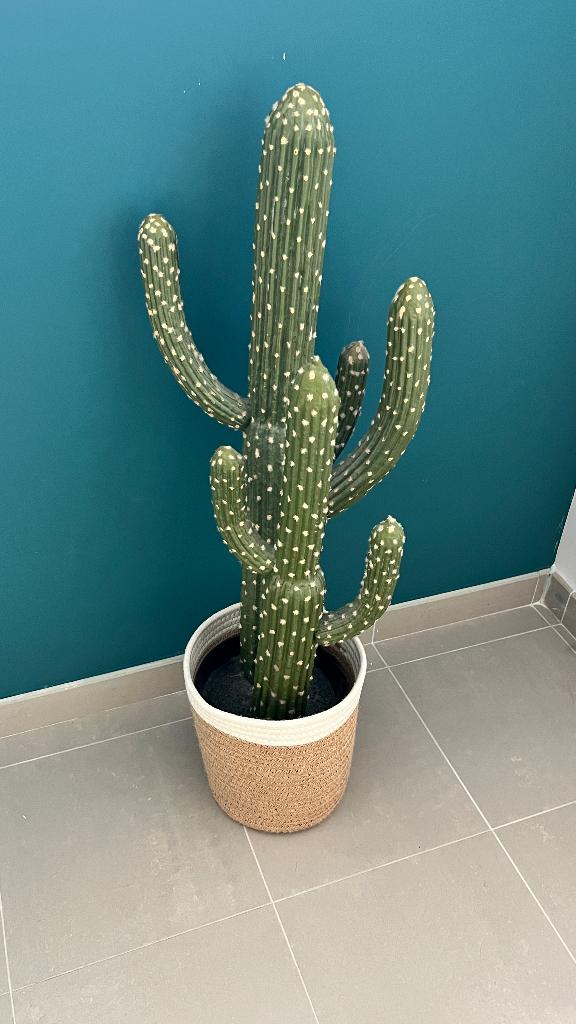 Faux cactus décoratif avec panier, Ophalen, Groen, Onderhoudsvrij, Kunstplant
