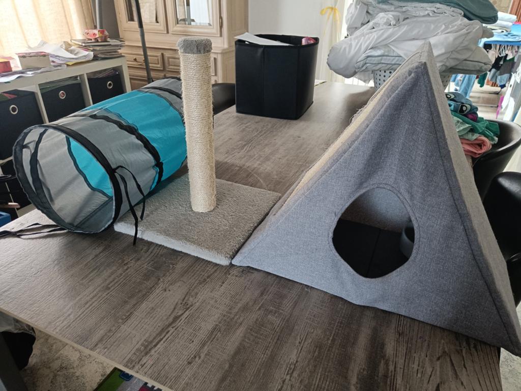 Kattenspeelgoed, Enlèvement