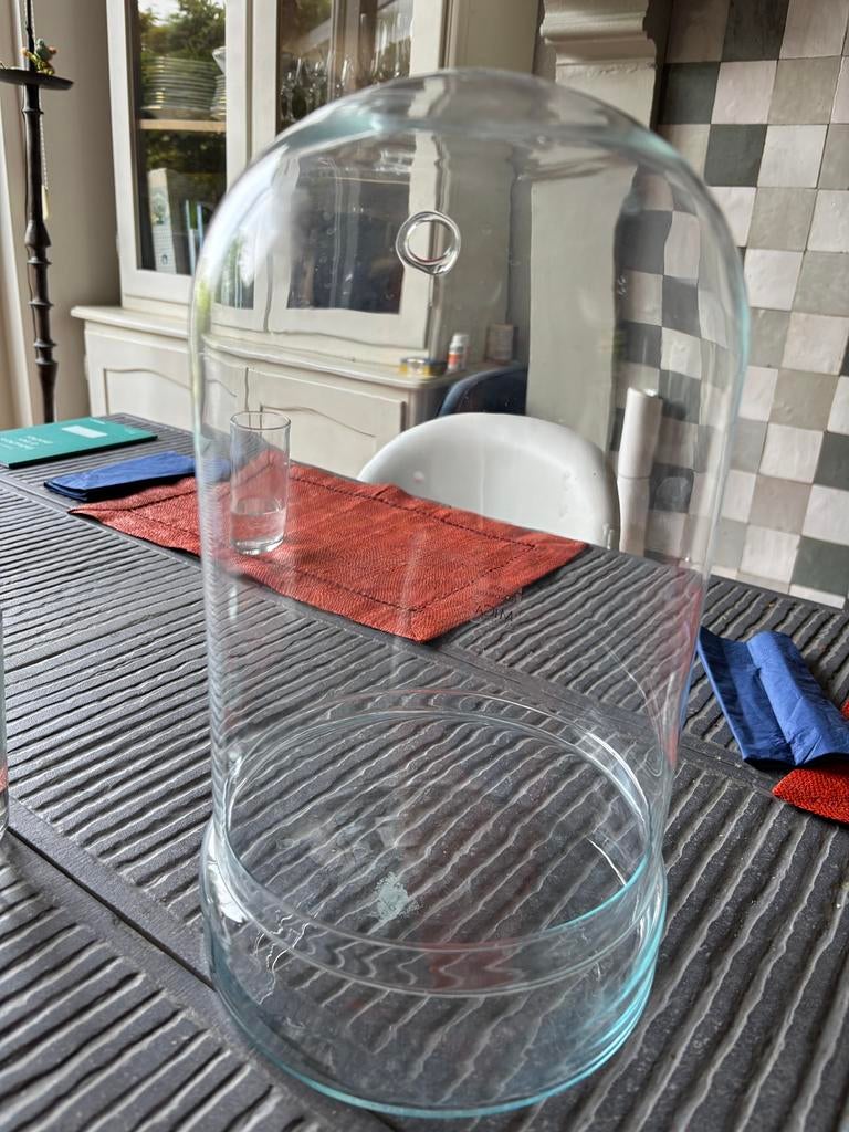 Cloche en verre pour terrarium 30cmx20, Enlèvement, Comme neuf