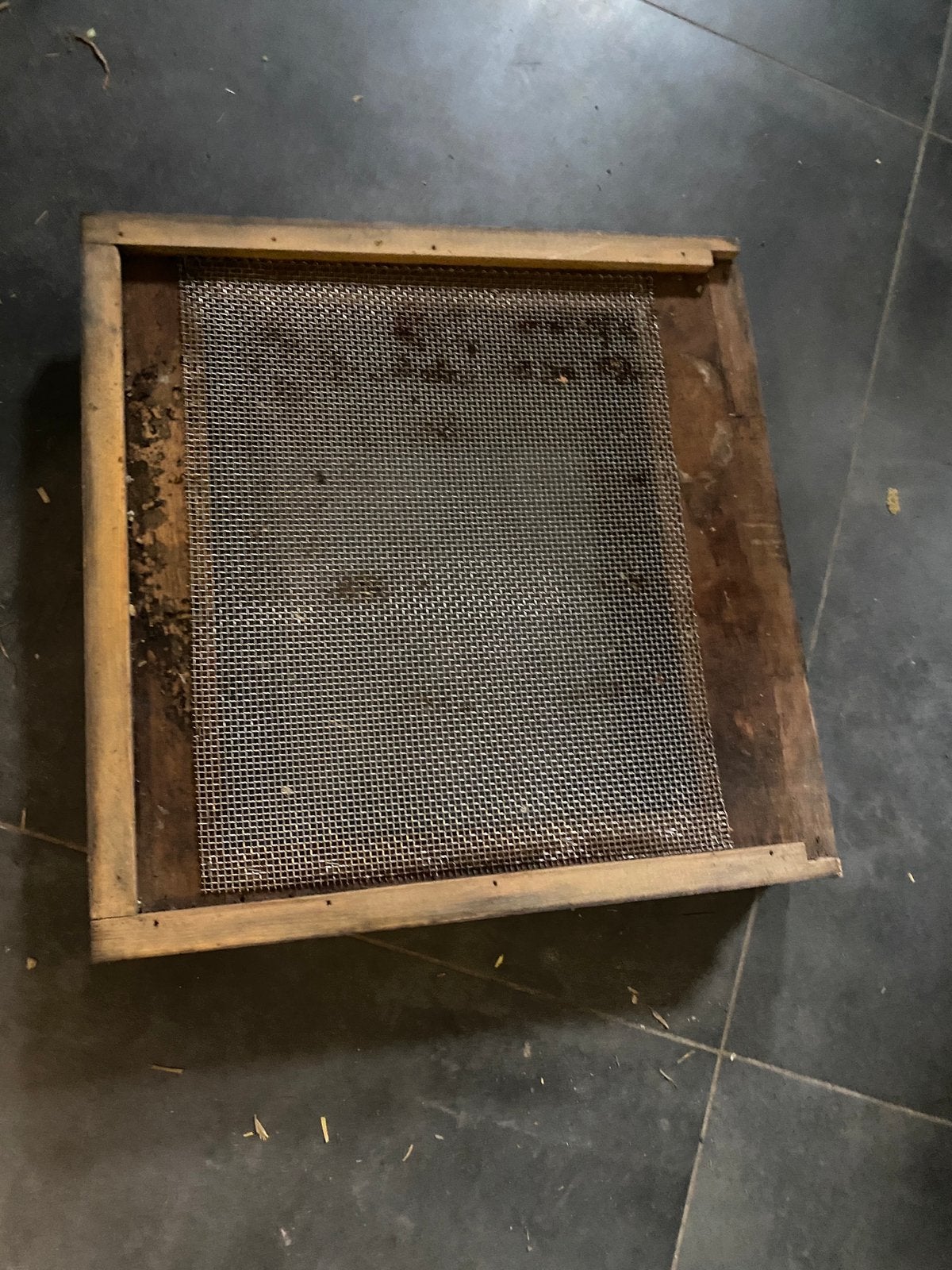 Bodem bijenkast excl.vliegplank, Bijen