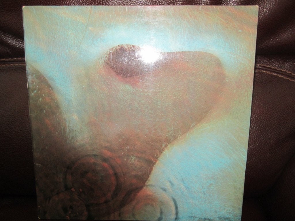 Pink Floyd, Cd's en Dvd's, Vinyl | Rock, Ophalen of Verzenden