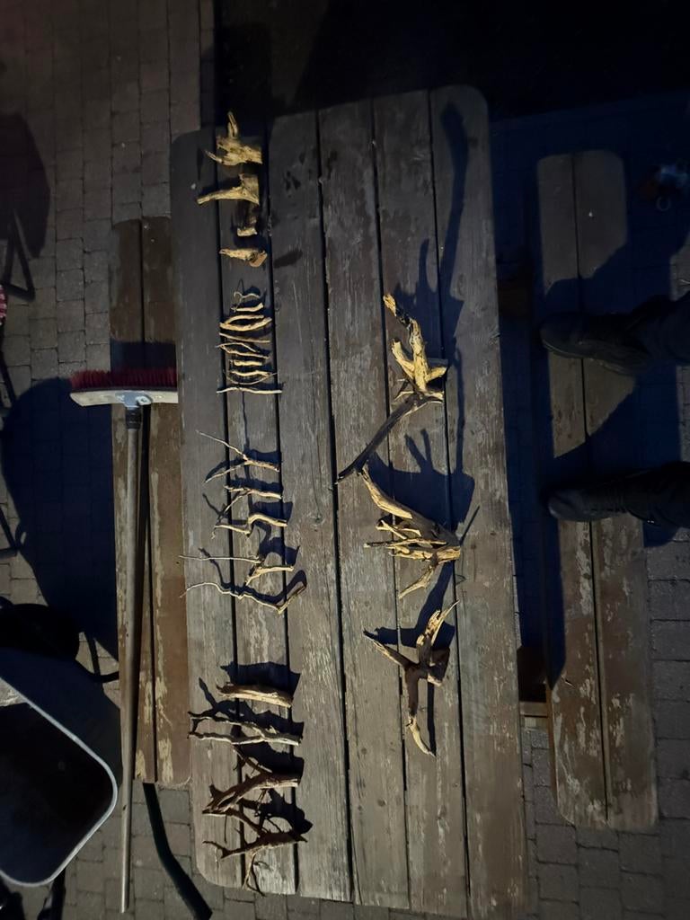 Aquarium hout te koop, Dieren en Toebehoren, Ophalen