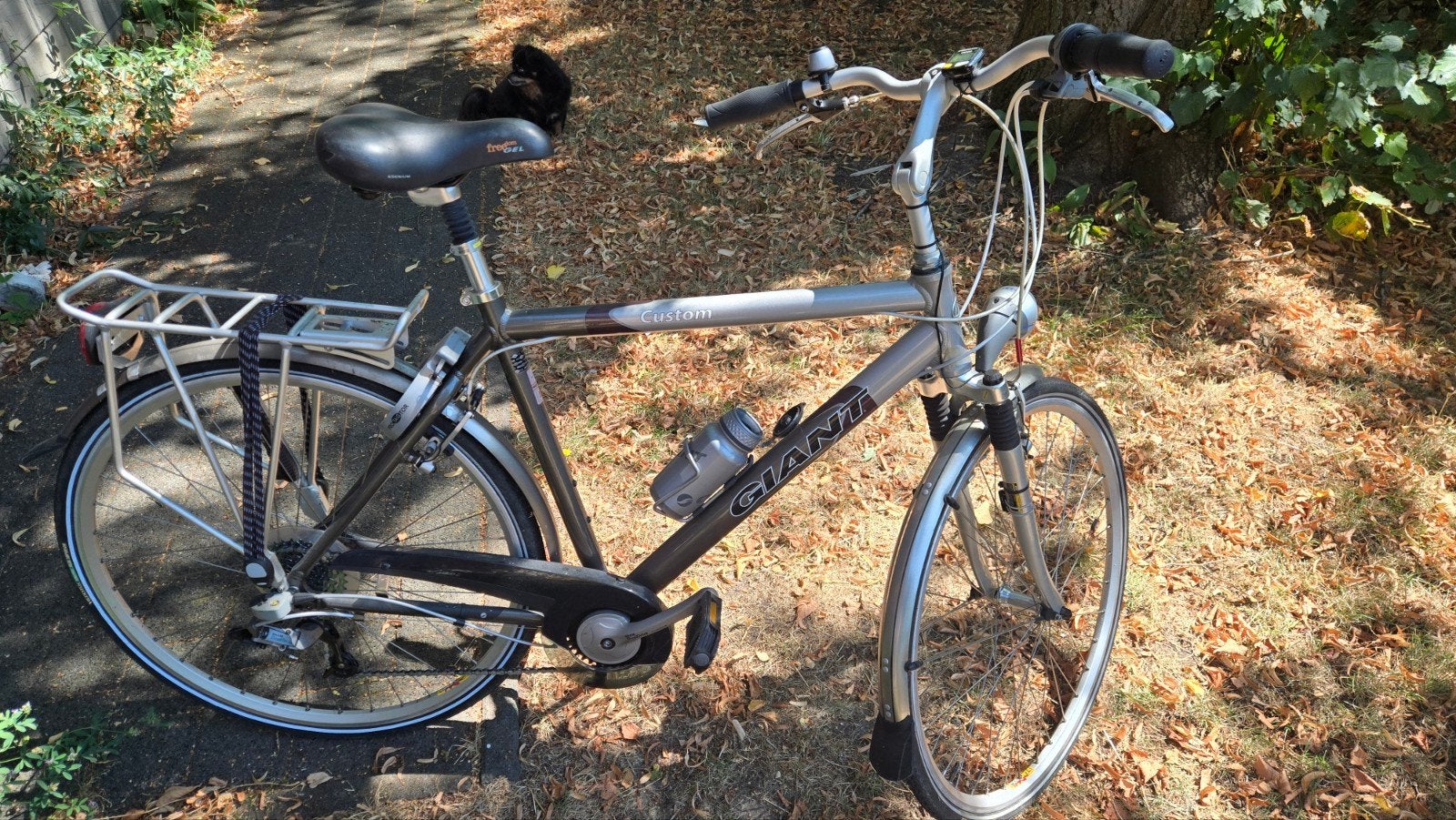 Giant Custom maat L, Fietsen en Brommers, Ophalen, Giant