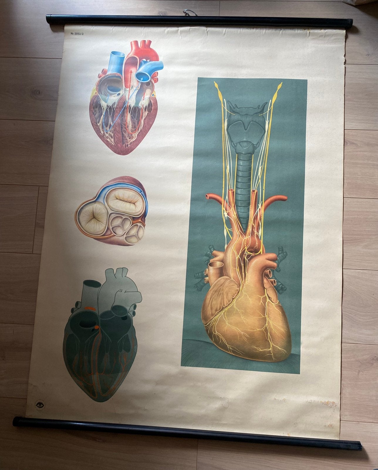 Originele schoolplaat hart, Antiquités & Art, Antiquités | Cartes scolaires, Enlèvement