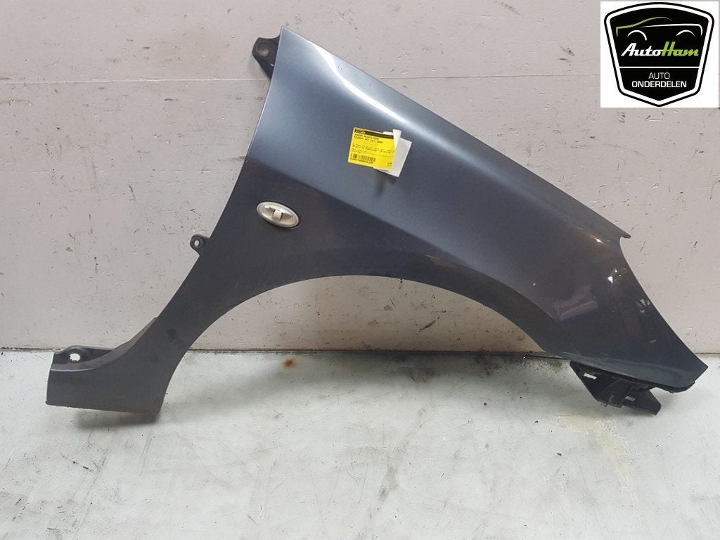 SPATBORD RECHTS VOOR Peugeot 307 Break (3E) (|7841T2|), Dhr. J. Ham, Gebruikt, Administratie@autoham.nl, Spatbord