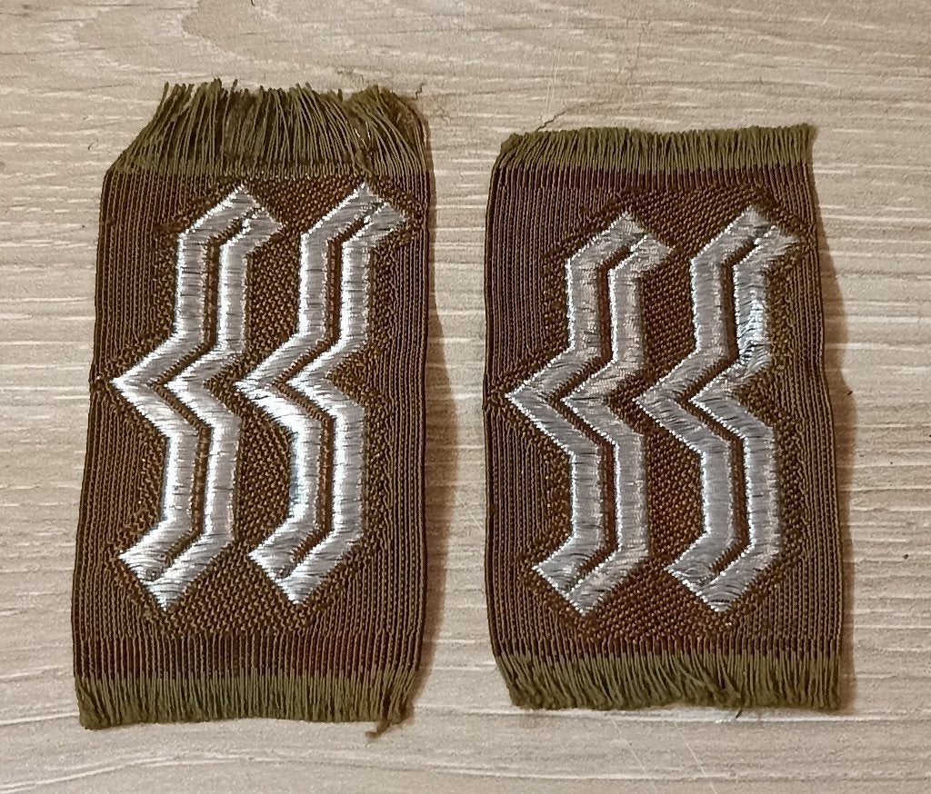 Pattes de col Todt Haupttruppführer 1943 ww2, Envoi, Armée de terre, Emblème ou Badge