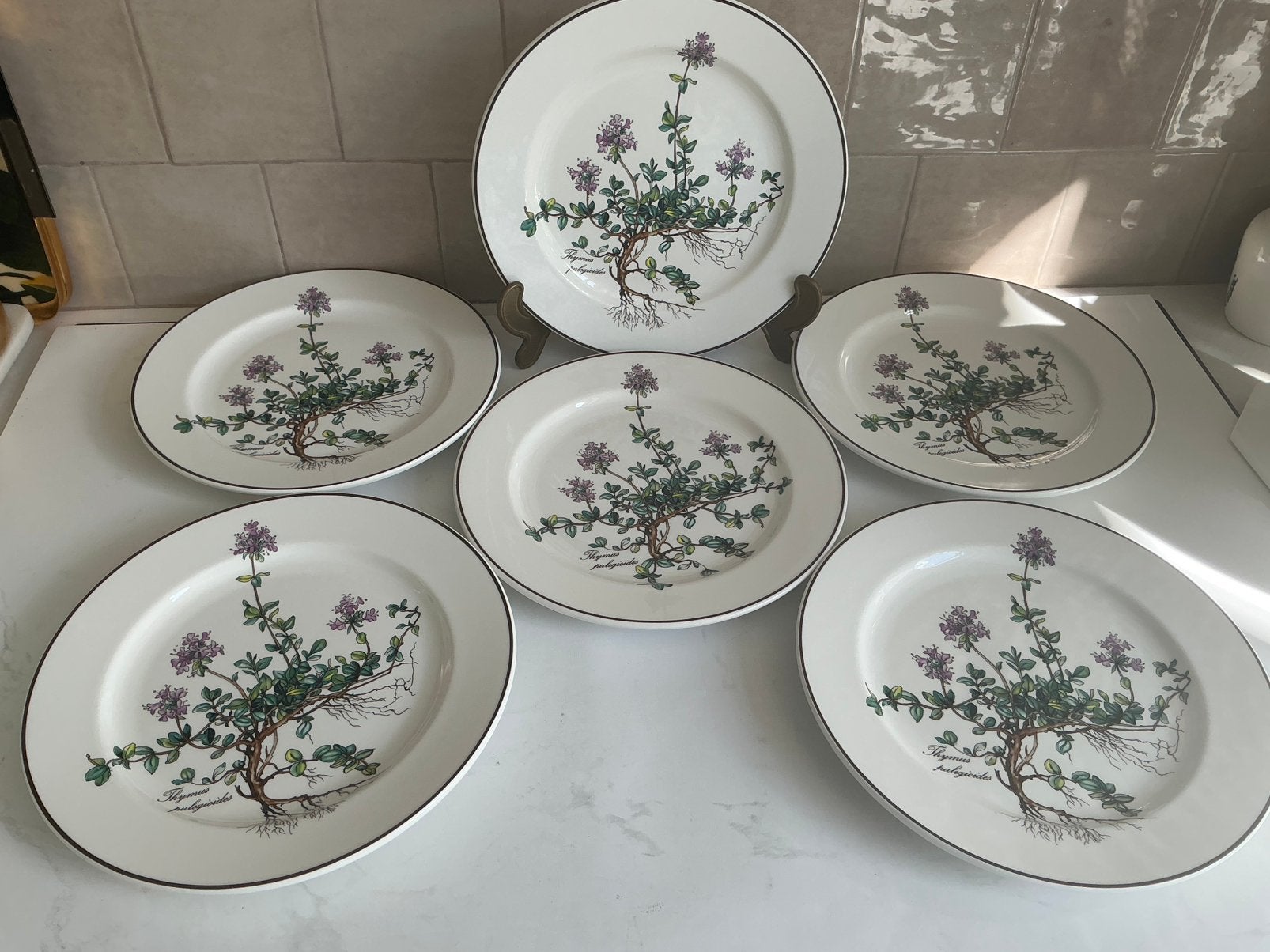 Villeroy & Boch Botanica borden, Ophalen of Verzenden, Villeroy & Boch, Bord(en)