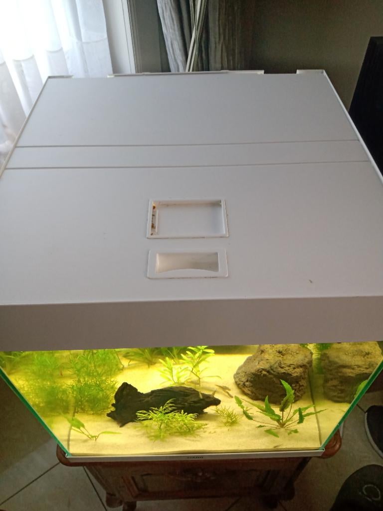 Ciano aquarium, Ophalen, Overige merken, Zo goed als nieuw, Inclusief deksel