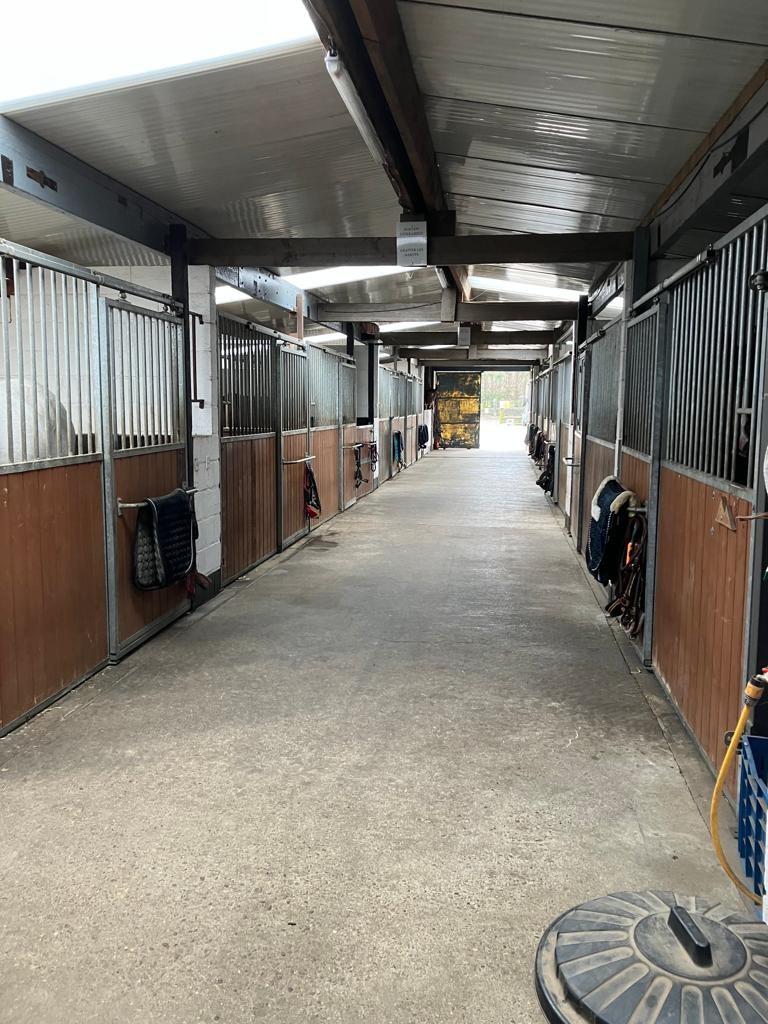 Stal te huur, Dieren en Toebehoren, Stalling en Weidegang, Weidegang