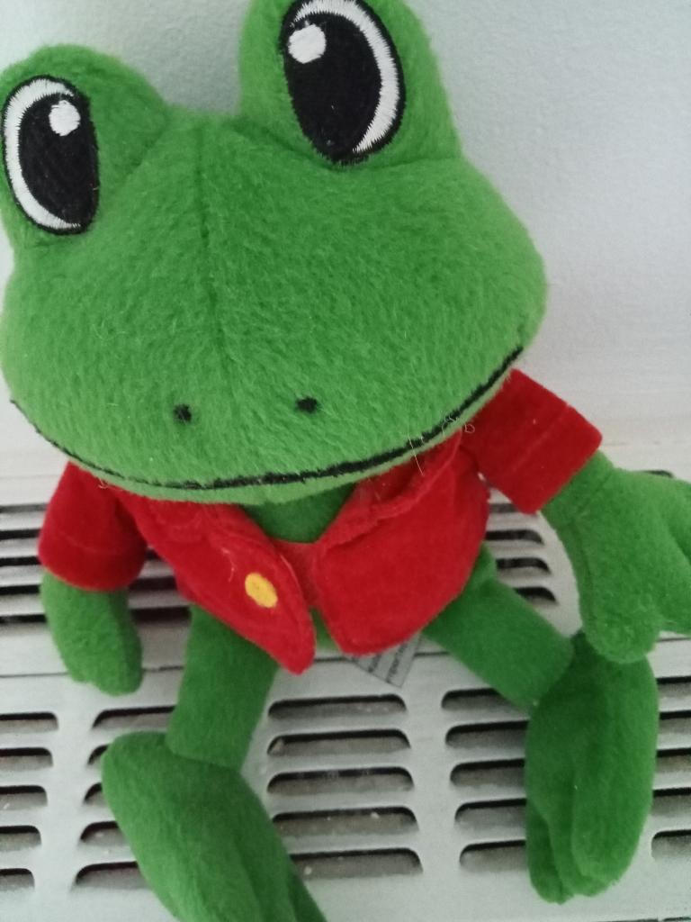 knuffel kikker, Ophalen, Gebruikt, Kikker