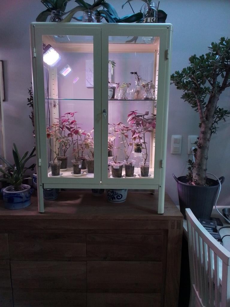 Serre Ikea vitrinekast, Tuin en Terras, Kassen, Ophalen