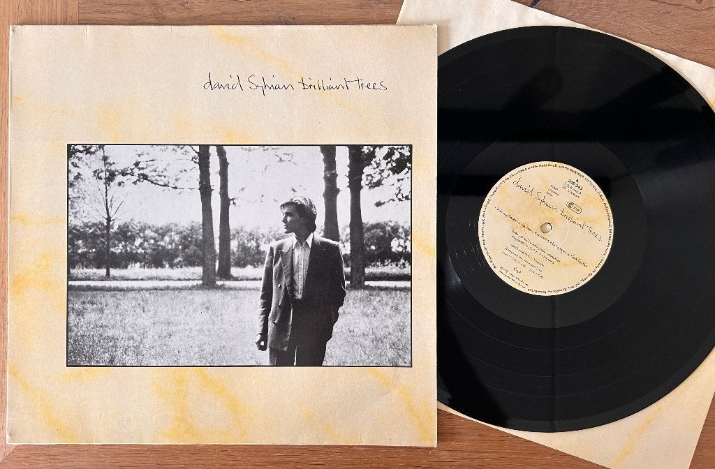 DAVID SYLVIAN - Brilliant trees ( LP; EX/VG ), Cd's en Dvd's, LP, Ophalen of Verzenden, Progressive Rock, Gebruikt