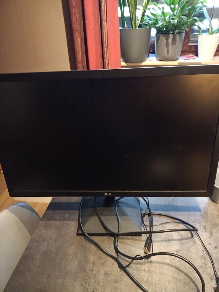 LG 24 MK400H 24 inch monitor, Computers en Software, Monitoren, Ophalen, Gebruikt, 24 inch, 61 t/m 100 Hz