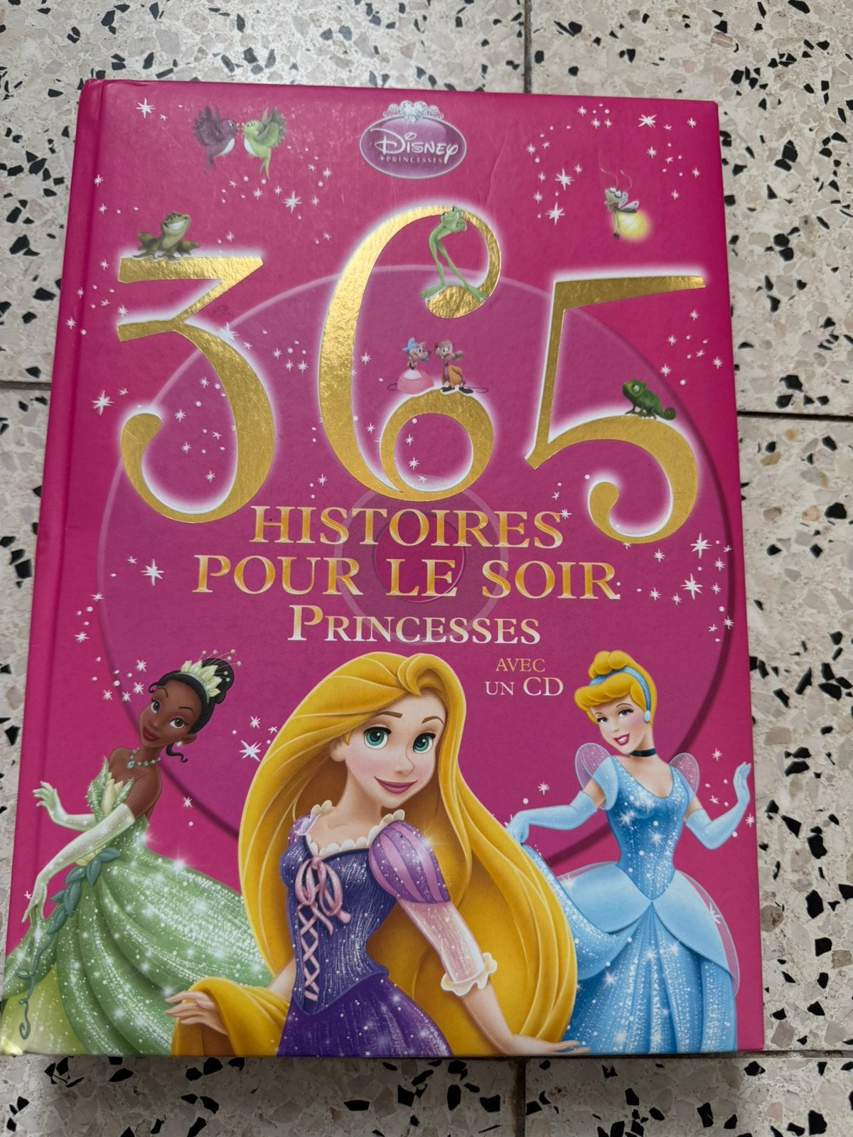 Livre Disney 365 histoires pour le soir, Livres, Enlèvement, Comme neuf