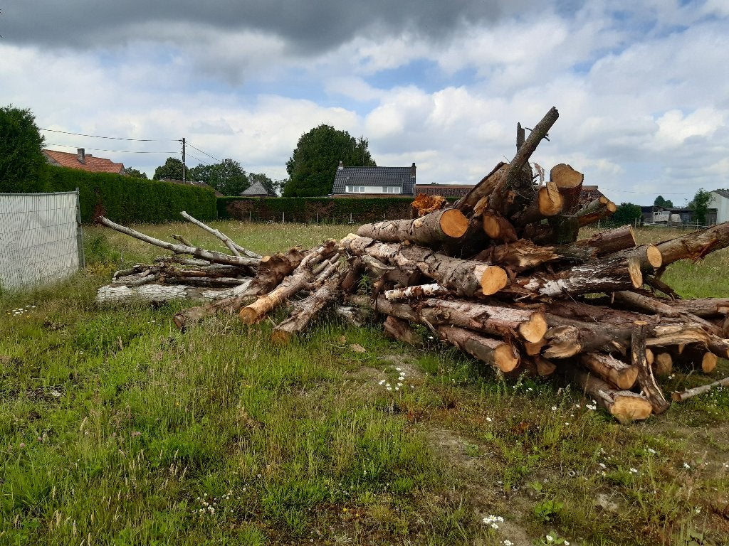 Brandhout op stam, Tuin en Terras, Brandhout, 6 m³ of meer, Ophalen, Stammen