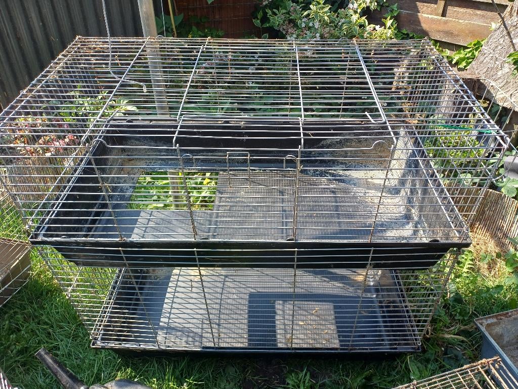 13 kooien aales.in.1 koop, Dieren en Toebehoren, Ophalen, Gebruikt, Fret